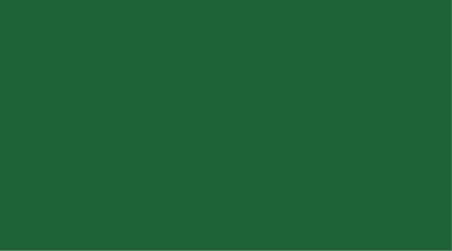 Green rectangle backgrounf
